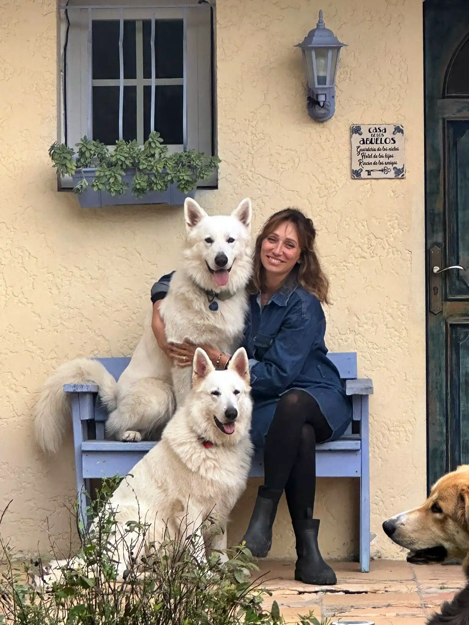 Elevage Berger Blanc Suisse sud ouest